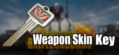 PUBG - Weapon Skin Key 